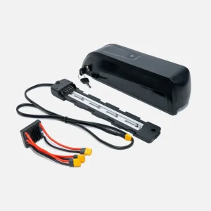 ENGWE M1 Battery