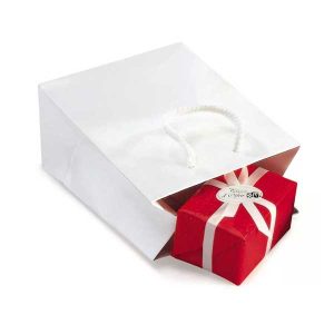 Saco de Papel Plastificado Brilhante
