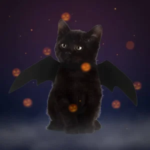 Accessori Halloween Costumi Animali Decorazioni Festive
