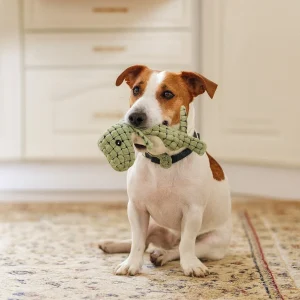 Giochi Cani Dinosauro Masticazione Interattivo